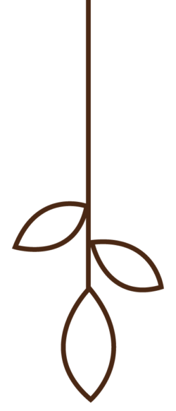 Ikon af en gren med 3 blade